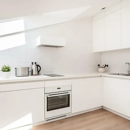 Penthouse In Old Town Vilnius