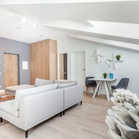 Penthouse In Old Town 公寓